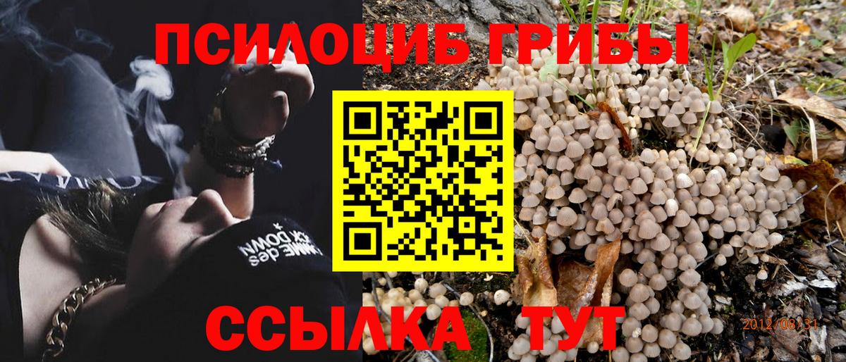 Гай  Псилоцибиновые грибы GOLDEN TEACHER  Псилоцибиновые грибы Psilocybe  Вход с VPN 