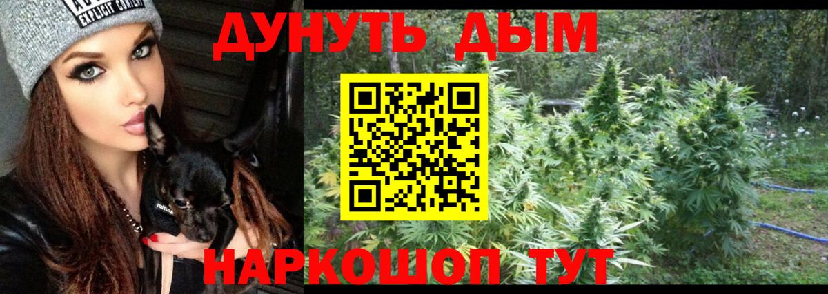 Конопля индика Гай